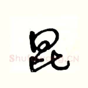 昆