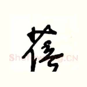 蓓