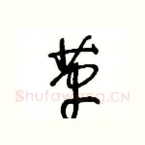 革