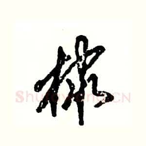 棣
