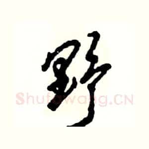 野