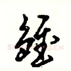 雏