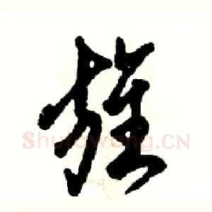 旌