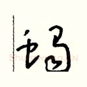 蝎