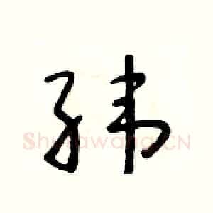 纬