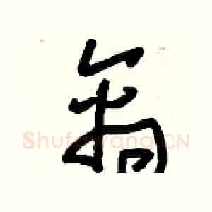 禽