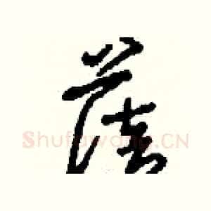 蓓
