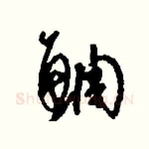 鯛