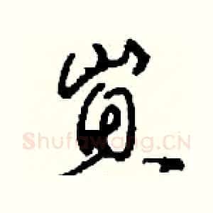 崽