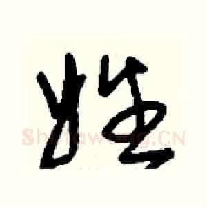 姓