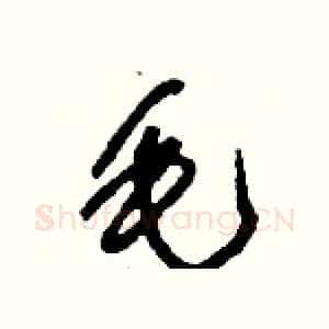 毛