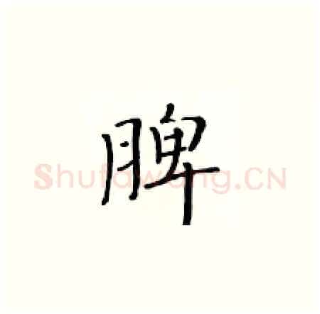 脾硬笔楷书写法,摘自黄华生硬笔书法字帖