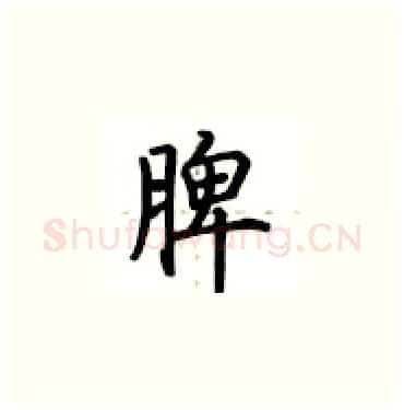 脾硬笔楷书写法,摘自卢中南硬笔书法字帖