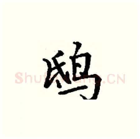 鸱硬笔楷书写法,摘自丁谦硬笔书法字帖