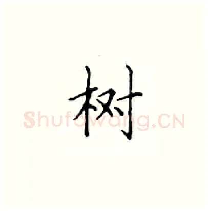 树硬笔楷书写法,摘自顾仲安硬笔书法字帖