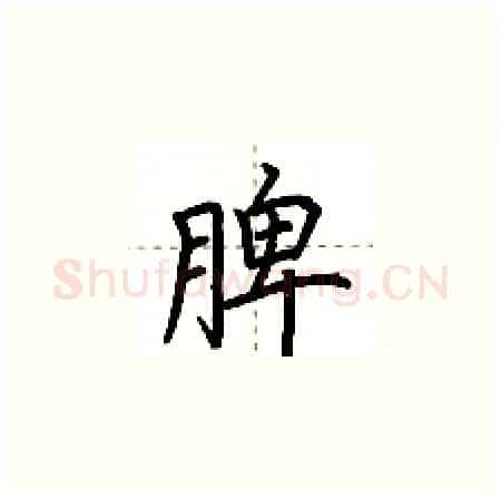脾硬笔楷书写法,摘自荆霄鹏硬笔书法字帖