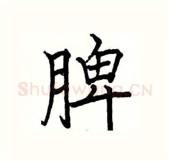 脾硬笔楷书写法,摘自骆恒光硬笔书法字帖