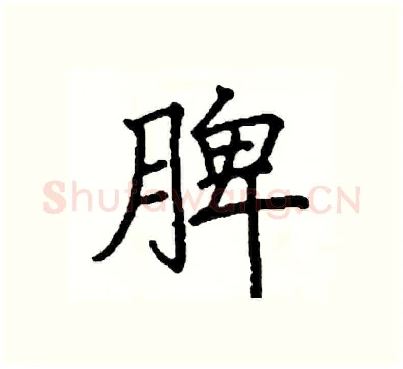 脾硬笔楷书写法,摘自阎锐敏硬笔书法字帖