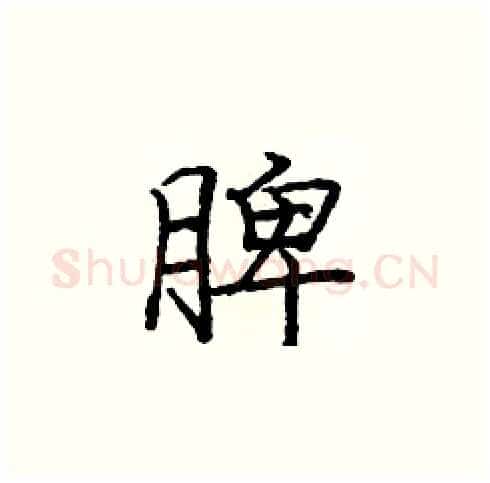 脾硬笔楷书写法,摘自庞中华硬笔书法字帖