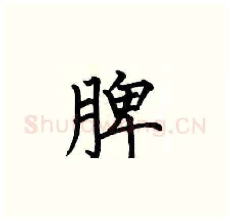 脾硬笔楷书写法,摘自何伯昌硬笔书法字帖