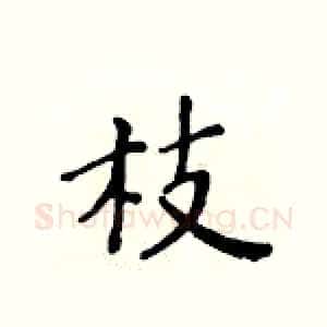 枝