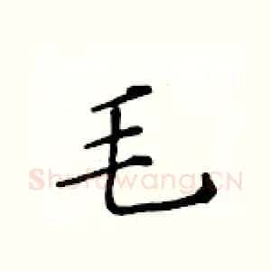 毛