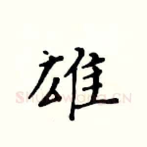 雄