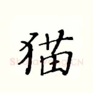 猫