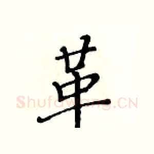 革