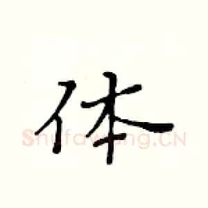 体