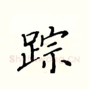 踪