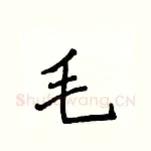 毛