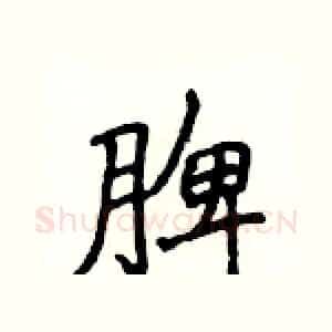 脾