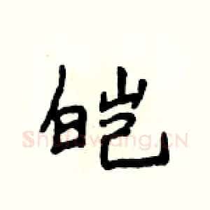 皑