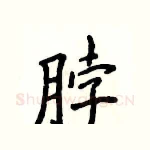 脖