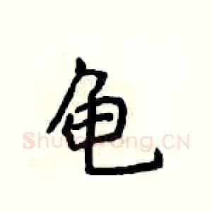 龟