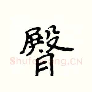 臀