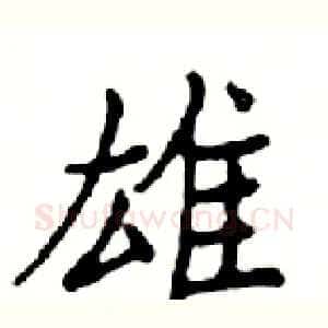 雄
