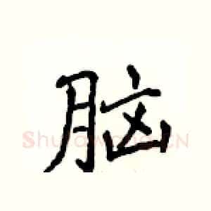 脑