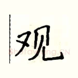 观