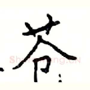 苍