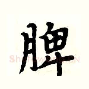 脾