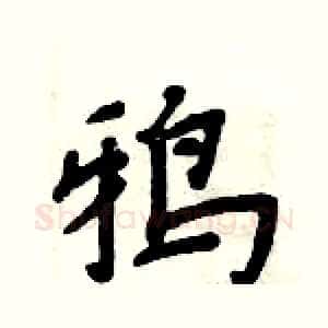 鸦