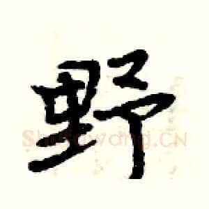 野