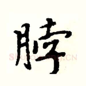 脖