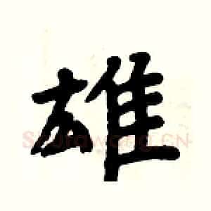雄