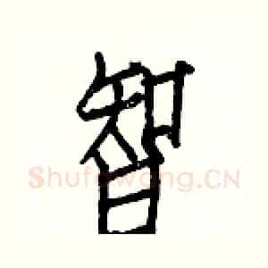 智