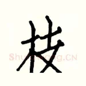 枝