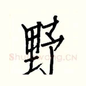 野