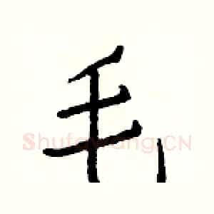毛